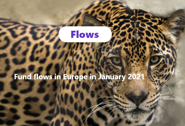 img 👀 News from the flow side #1 : What happened in January in Europe?