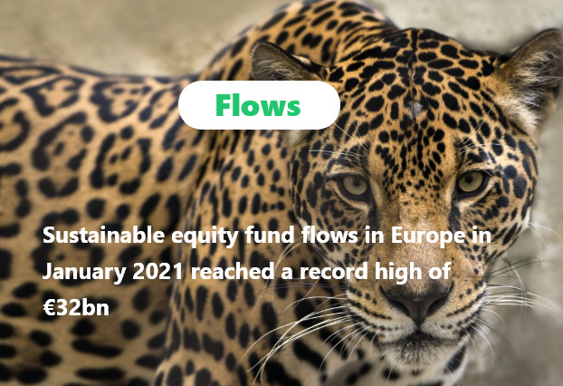 img 👀 News from the flow side #2 : What happened in January in Europe to sustainable funds ?