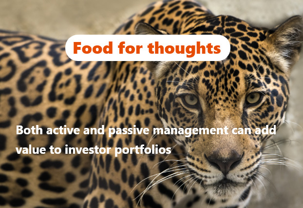 img 🤔Are concerns about the risks of passive investing the only reasons to shift from passive to active funds