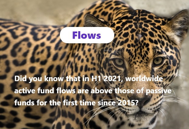 img 👀 Looking beneath the surface: What is the impact of the Covid 19 on worldwide mutual fund flows?