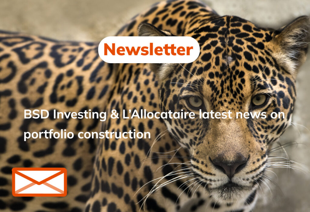 img Newsletter : What role for Active ETFs in portfolio construction? By BSD Investing & L’Allocataire